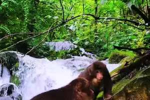 20250830瓦屋山活动