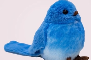 中国国家地理磁吸站肩小鸟公仔系列玩偶仿真毛绒玩具雪鸮翠鸟麻雀