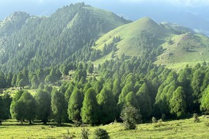 成团！1.2晚-3日【特种兵夜徒六五顶】 1.2晚上出发！看漫天繁星，壮美日出！徒步广西版的那拉提高山草原！ 