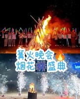 12.31晚1.1【元旦跨年夜】惠州海边举行，烧烤，KTV，放烟花。海龟湾，双月湾观景台