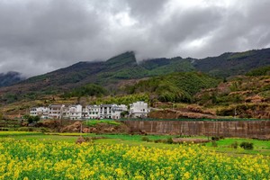 【清明节  婺源】4.5-6  清明节踏青，徒步微饶古道，赏婺源最美油菜花