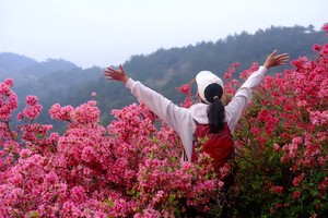 【 新线首发  领攀者10周年特惠】 3.26 徒步穿越云雾山，赏漫山杜鹃花海