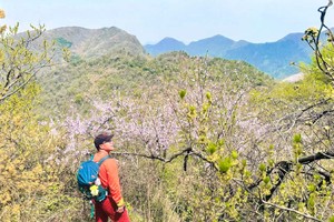 【新线首发】4.19 打卡小井冈山之称的大王山，探秘红军洞+蛇洞 