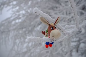 【 徒步爬山】1.24银装素裹的广水三潭爬山赏雪（周六）