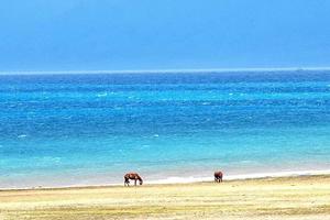 【童话新疆·6人私家小团·独伊无二8日】独库公路中段+北段、琼库什台、八卦城、赛湖、薰衣草、那拉提、喀拉峻、唐布拉、丹霞