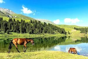 【童话新疆·6人私家小团·独览南北疆10日】S101+独库全段、唐布拉、喀什古城（春晚分会场）、瓦罕走廊、盘龙古道、石头