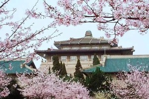 研学管家 |武汉高校博物馆夏令营 （三天两晚）