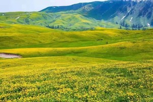 2024年托乎拉苏徒步，穿越群山中的天堂！