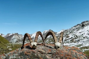 2024年夏特北线，南天山北线的顶级冰川徒步路线！