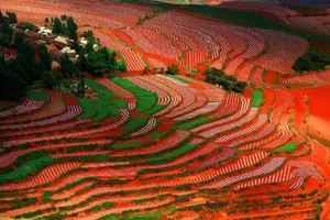 【鸡鸣三省】昆明-会泽-大山包-巧家-螺髻99温泉-乐山大佛-蜀南竹海-阿西韭菜坪-织金洞-乌江源百里画廊10日深度游