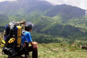 2024徒步神农架 | 金猴岭、神农顶、官门山穿越（轻装3日，兴山/木鱼往返）