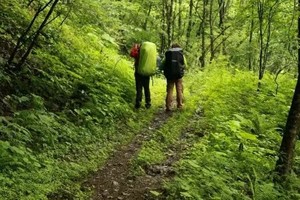 神农架金猴岭、神农顶、官门山重装穿越三日活动（武汉动车兴山往返）
