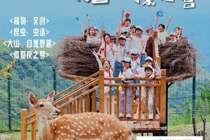 自然魔法探究营|躲进21℃的魔法森林里，偷偷修炼关于自然的魔法，踏上山野新旅程！