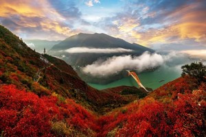 全景·三峡徒步||红叶染秋，5天4晚赏三峡层峦叠嶂盛开的红叶