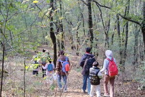 【开学季】9.8周日 一山一课山野如何上下坡——青龙山