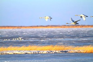 2025年小车团浪漫雪都-冰雪北疆9日