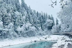 【冰雪九寨】九寨沟/达古冰川/鹧鸪山滑雪/古尔沟温泉/毕棚沟/报恩寺/王朗国家级自然保护区 6日之旅