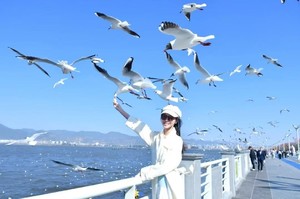 【滇东南之春】元阳梯田-罗平油菜花-九龙瀑布-坝美-普者黑-东风韵-弥勒-建水-屏边滴水苗城-大围山-人字桥-火车集市7