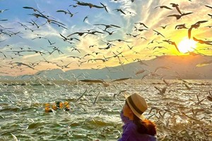 【滇东南早春】2-8人精品小团-元阳梯田-百年米轨-东川红土地-烟斗老人摆拍-罗平油菜花-弥勒温泉-东风韵-建水蚁工坊-