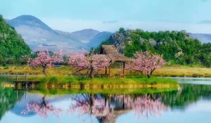 【滇东南全景】元阳梯田-罗平油菜花-建水-碧色寨-坝美-普者黑-东风韵-抚仙湖-东川红土地-元谋土林9日游