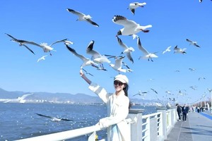 【象往版纳】北回归线标志园-那柯里-太阳河森林公园-珍稀小熊猫-景迈山-《边水往事》曼掌村-曼听公园