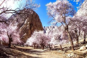 2025小车游系列 帕米尔之春花开木吉——帕米尔杏花+木吉乡7日