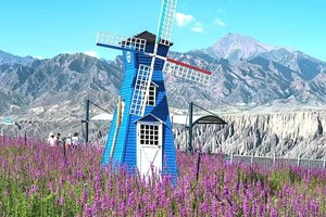 【童话新疆·醉美伊犁8日】赛里木湖（VIP景区直通车）、薰衣草、夏塔景区、喀拉峻草原、那拉提、沙漠