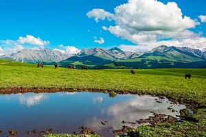 2025年喀拉峻徒步，寻找中国最美的天山草原！