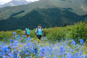 2025【行走·格聂大环8日】川西美景天花板，草原+湖泊+雪山一网打尽