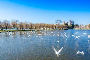 滇东南风物志｜5日｜2-12人小团｜一次玩遍滇东南全景，昆明+弥勒+建水+元阳+抚仙湖