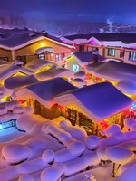 现实版“狗熊岭”12月5--7日 雪乡 三日游 