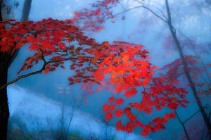 一路行旅游 10月4日-5日 老边沟-大石湖：一场与枫红瀑景的金秋约会