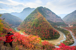 科尔沁户外  穿越秦岭秘境，饱览壮美秋景7日活动  2026年10月30日 华山+太白山+华阳古镇 +太洋公路赏秋