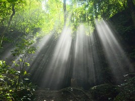 科尔沁户外 贵州徒步6日活动  2026年8月15日 茂兰漏斗森林+四洞连穿+紫荆谷+双眼天坑+小七孔+青龙瀑