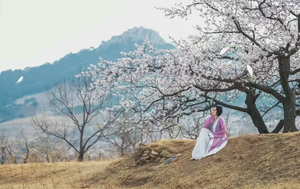 科尔沁户外 4月11日春日限定 赏杏花 顺便吃掉一笼春天！！！