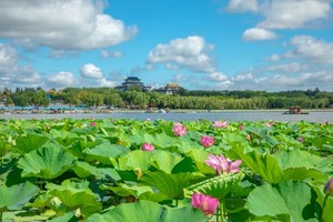 8月5日 查干湖一日游 精美午餐+游船