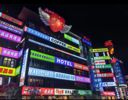  仅发两期  4月4日  4月11日   边城雅韵 · 丹东休闲 2日游   