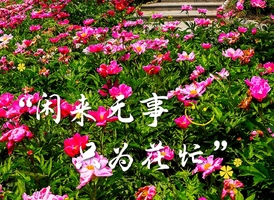5月23--24日 仙境宽甸天桥沟、山城本溪、大美丹东二日游