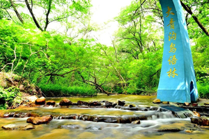 5月19日大青沟一日游（旅游日特价）