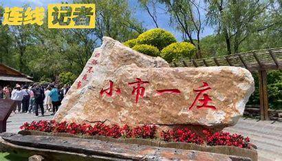 小市一桩 的图像结果