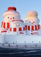 1月1日 哈尔滨+雪乡三日游 （含冰雪大世界门票+雪乡门票）