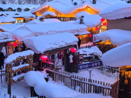 2026年1月23日  哈尔滨+雪乡三日游 （含冰雪大世界门票+雪乡门票）