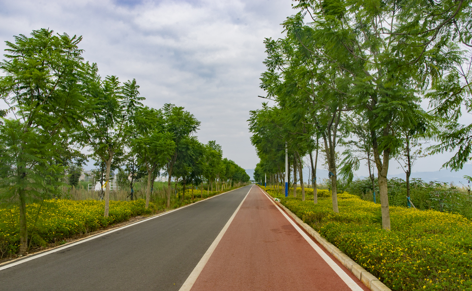 DSC01900