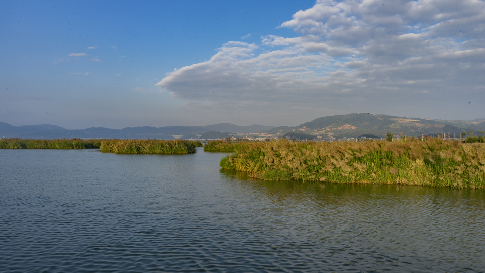 DSC01948