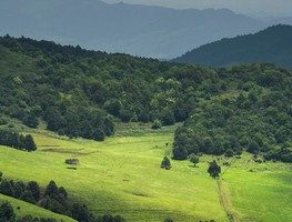 7月29日（周天）昆明“新西兰小草原”，寻甸牧场凤龙山徒步！