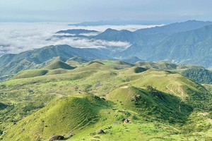 每周五/六晚/节假日【阳春鸡笼顶】徒步阳春鸡笼顶，打卡美粤西最美高山大草原，赏数千亩高山杜鹃花1天1夜