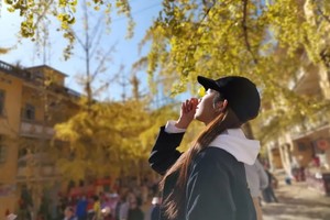 每周三/六出发【南雄银杏+温泉2天】旅拍南雄银杏之乡，网红打卡时光隧道，南华寺祈福，入住汤溪温泉酒店