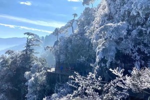冰雪期出发【冰雪莽山1天】漫步“小张家”界悬空栈道、观莽山云海冰挂雾凇