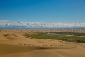 宁夏【越野车单日穿越五湖】一日游深入沙漠腹地