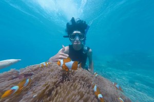 每周六出发【浪漫惠州2天】入住一线海景房，打卡广东马尔代夫、体验海边冲浪、SUP板、浮潜、赶海、海边烧烤